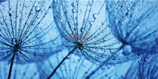 Панно Pintdecor G1900 Rugiada